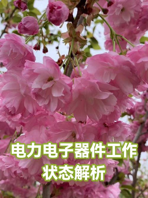 电力电子器件工作状态解析